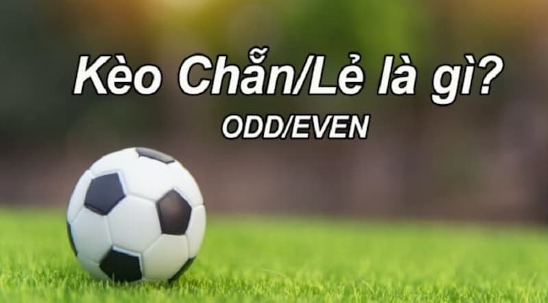Kèo chẵn lẻ Khái quát về Kèo chẵn lẻ